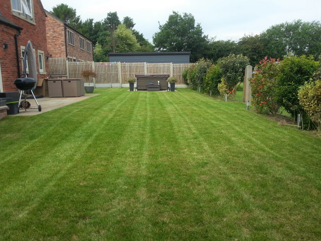 How to scarify your lawn My Fabulous Garden