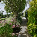 Swanwick Gardening Services