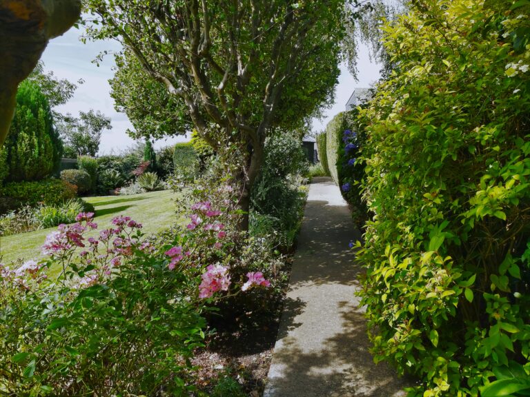 Swanwick Gardening Services