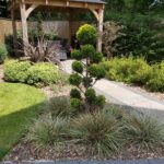 Shirland Topiary Services