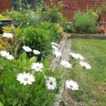 Broadmeadows Gardener